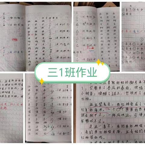 作业无声 成长有痕——海口市第二十一小学语文组中年级作业检查纪实