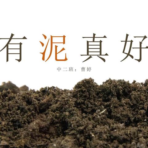 中二班班本课程~有“泥真好”