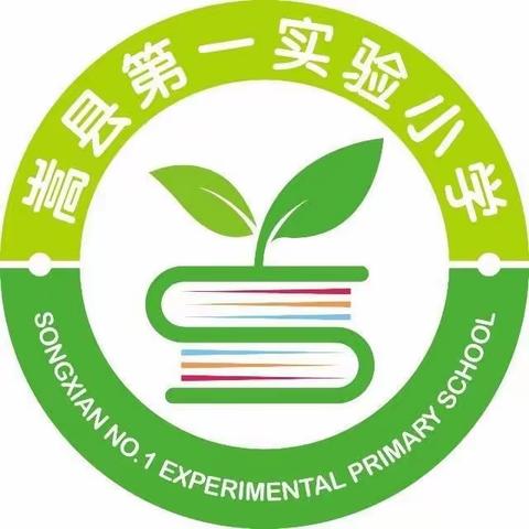 红船领航 砥砺前行——嵩县第一实验小学教师参加“全国名班主任工作室联盟学术年会”培训纪实