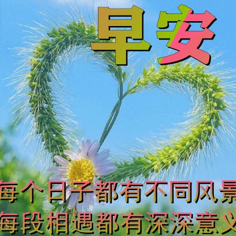 【心语】我用真心待你，但不执着于你，活在缘分中，而非关系里。人生各有渡口，各有各舟，流年有爱，就心随花开，如若人走情凉，就守心自暖。--杨绛