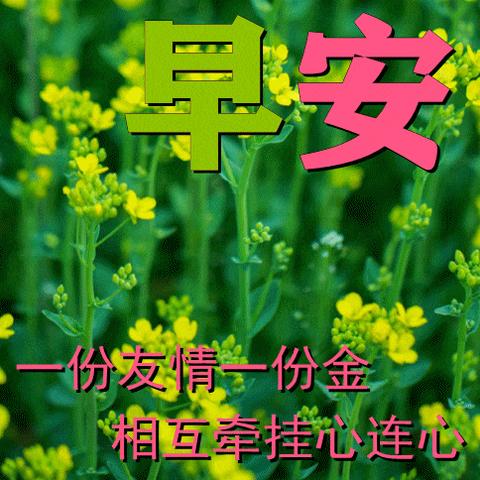 【心语】当你看过世界，见过众生，才发现，你要见的世面，是自己内心的勇敢和自信。--杨绛