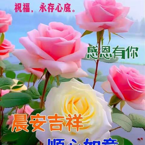 【心语】人到中年，最好的状态就是，低配你的生活，高配你的灵魂，年龄只是符号，把生活调到你喜欢的频道，每一段时光都藏着不可复制的美好。--杨绛