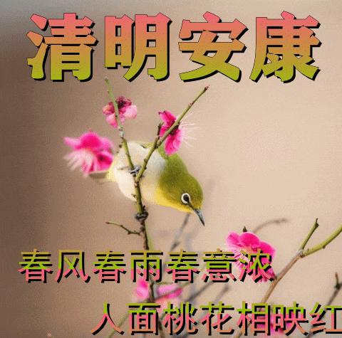 【心语】你不会被所有人理解，甚至被一个人彻底理解也难。但还是要努力按内心去做，总有一天他们会发现，原来你不是开开玩笑而已。--刘同