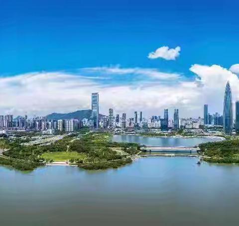 7月8日开展全区爱国卫生专项执法统一行动