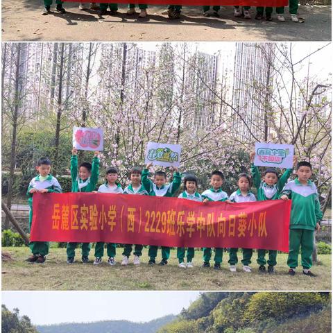 时光恰好，遇见春天——记岳麓区实验小学（西）2229班乐学中队“寻找春天”实践活动