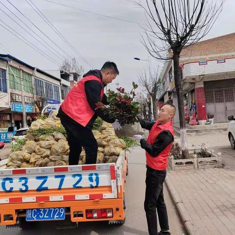 槐芽镇开展绿植补栽主题党日活动