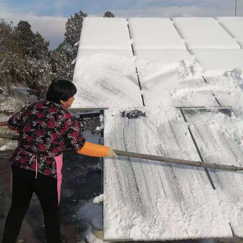 “三零”创建 扫雪篇