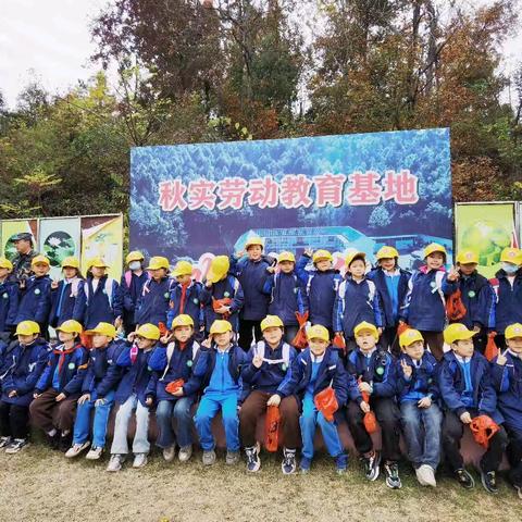 秋日拾趣，劳动筑梦——昭阳小学2304班劳动实践