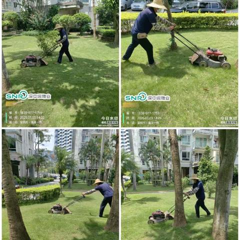 海天一色物业服务中心 7月份工作简报