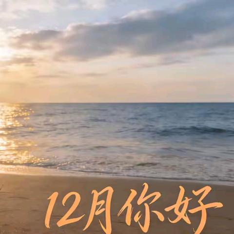 海天一色物业服务中心 2026年1月份工作简报