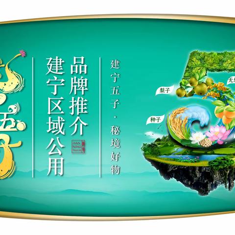 建宁县：发展新兴业态，助推传统企业转型