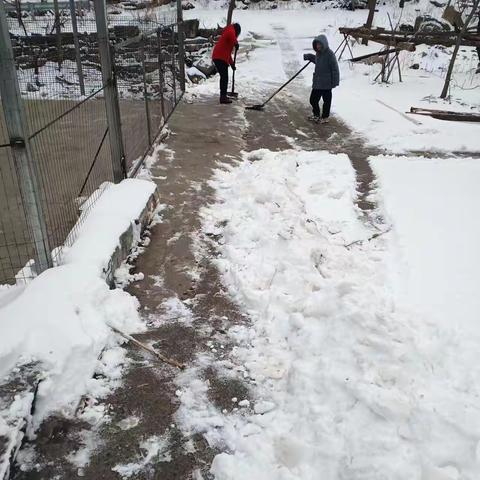 靳庄村“三零”创建之雪后安全隐患大扫除