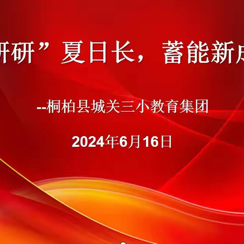 “研研”夏日长，蓄能新成长——桐柏县城关三小教育集团校本培训