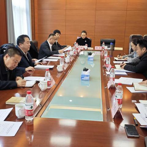 王振东副主席督办重点提案