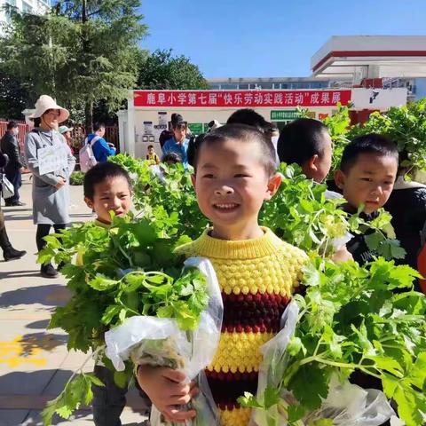 会劳动爱劳动会生活——记鹿阜小学二3班劳动课程系列活动