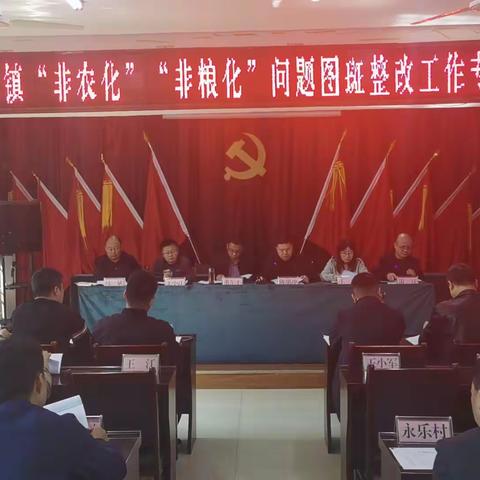 永乐镇召开“非农化”“非粮化”问题图斑整改工作专题会