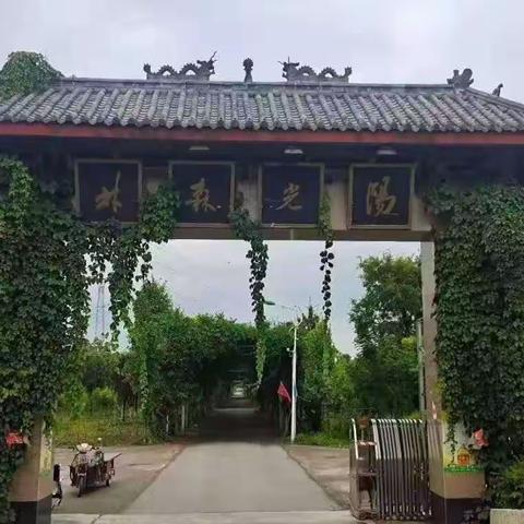 高陵区旅游目的地—阳光森林