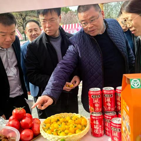 高陵文旅走进临潼区茨林村