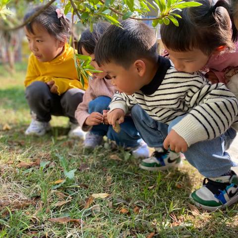 再见小班    你好中班