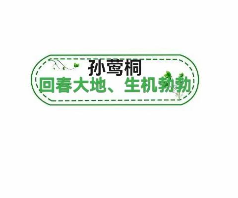 海口市小精灵幼儿园 混龄班周一主题分享——《春天的成语》