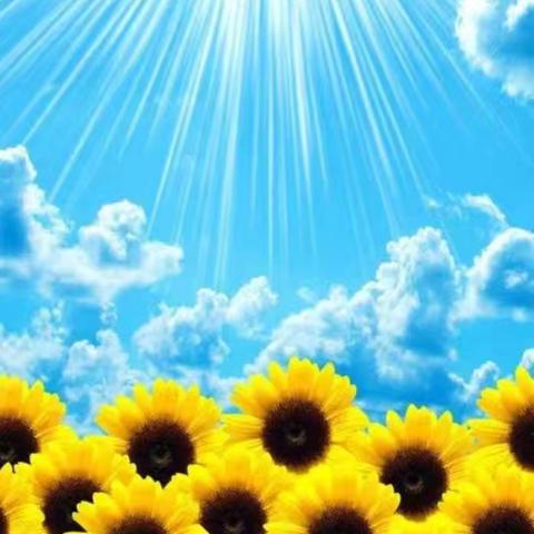 以梦为马 扬帆远航——洛宁县第一实验小学五八班班级工作总结