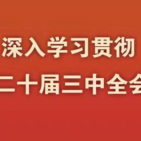 ★1：12组“改革热词”背后的知识点