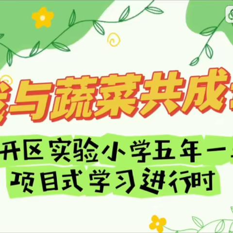 我与蔬菜共成长——————汽开区实验小学五年一班项目式学习进行时