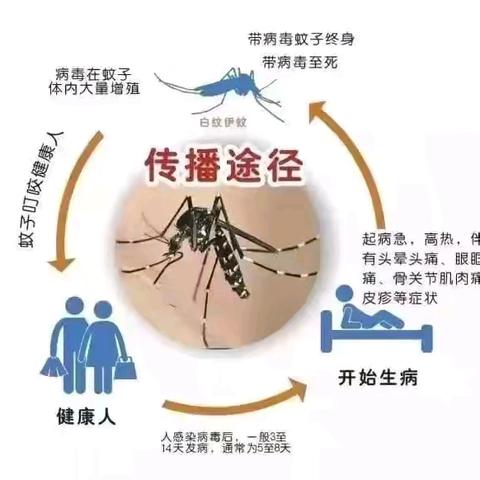 预防登革热，从我做起——兴隆幼儿园预防登革热防控知识宣传