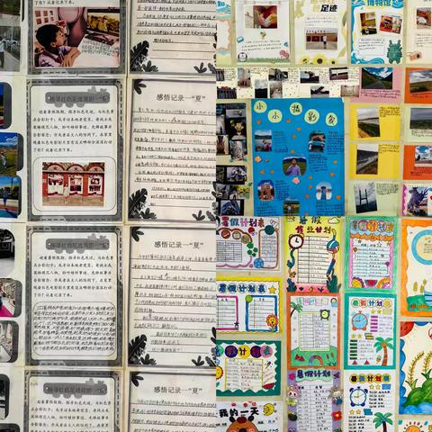 创意与成长的多彩舞台