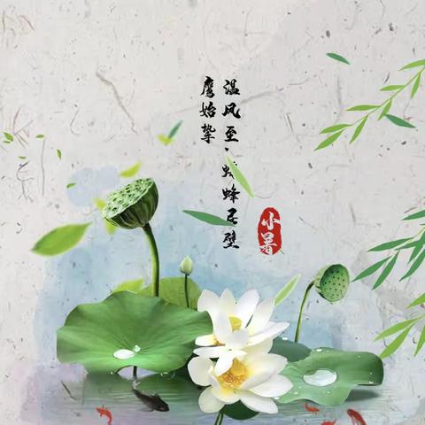 小暑至，盛夏伊始——跃华幼儿园二十四节气系列活动