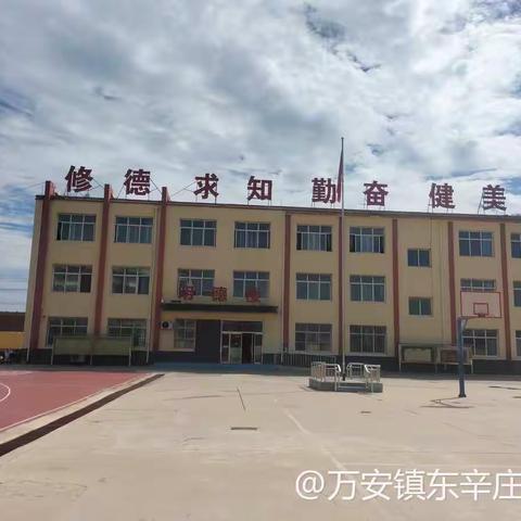 花儿向阳，童心向党—东辛庄小学“童心向党”教育实践活动