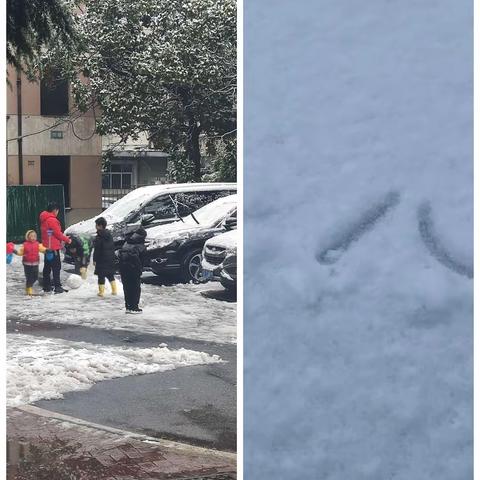 ⛄下雪啦！🌨️