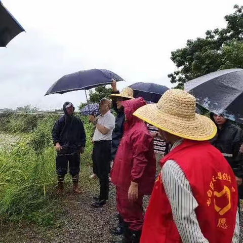 【抗击台风“泰利”】坡心镇：与群众同在，打好防风防汛的主动战