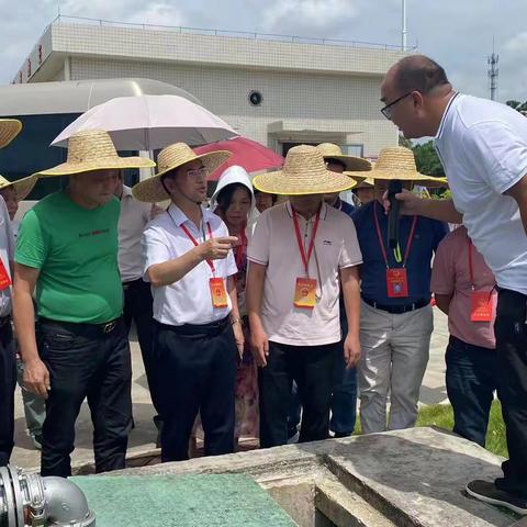 绿美广东生态建设 坡心在行动——坡心镇开展“更好发挥人大代表作用”主题活动