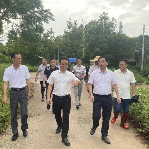 电白区委副书记、区长陈研到坡心镇检查指导防汛工作