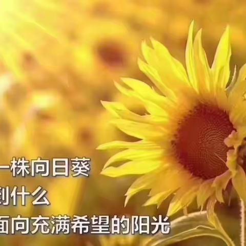 2024.4.12   青山院梦想家~ 默泰学长专场分享