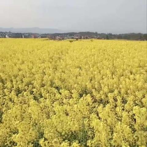 坚持运动才有健康的体魄