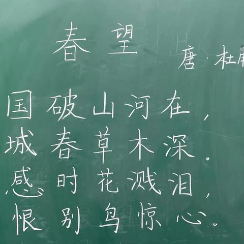 练字半年对比