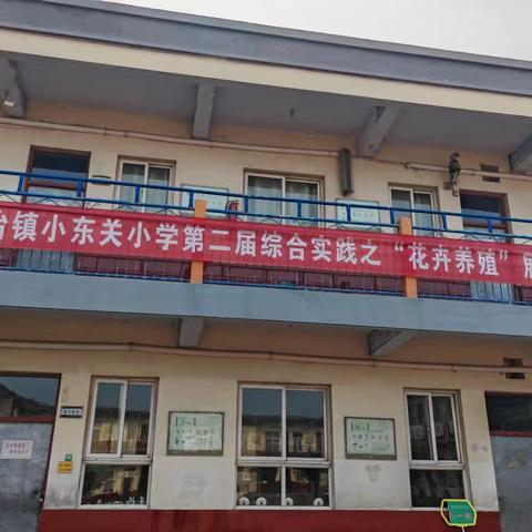 花香满校园 小东关小学二一班花卉养殖活动
