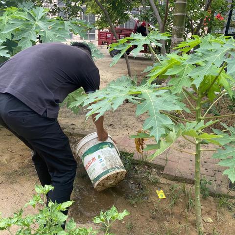 林旺南物业服务中心预防登革热防控宣传简报