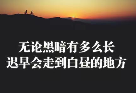 我正在读的一本书           坚韧的品质让你成为生活的“不倒翁”