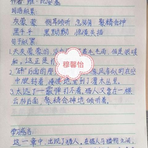 本周书写明星