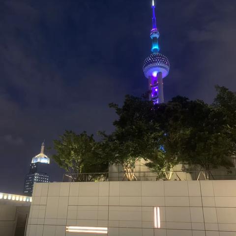 我眼中的外滩夜景