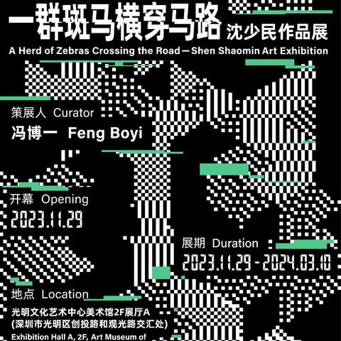 沈少民：鲤鱼与斑马