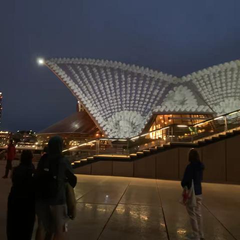 澳洲城市照明点滴