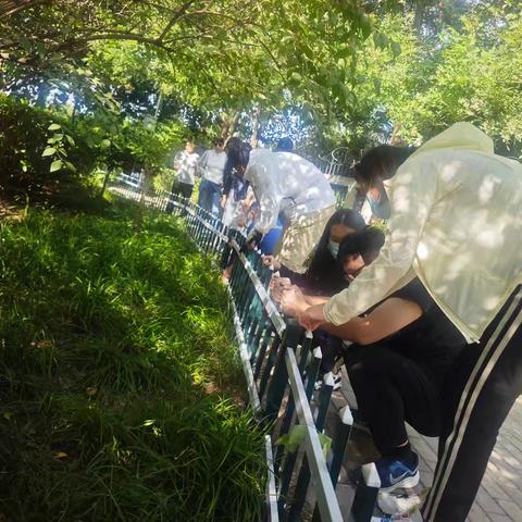 小护栏 大文明 曙光花园社区组织居民开展“大家绿地大家护”活动