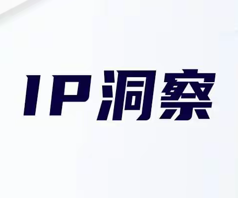 IP筛选的10个关键要素：确保合作的成功与可持续性（上篇）