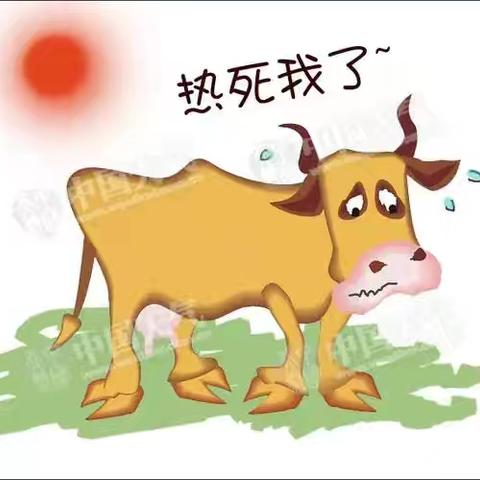 夏季肉牛防暑降温措施与饲养管理技术要点
