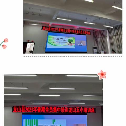 学习，遇见更好的自己——湘西州2023年暑期全员集中培训（龙山县水田小学篇）