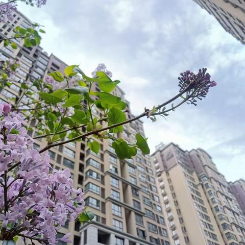 恒达桃溪苑物业服务中心 3月份月度服务报告